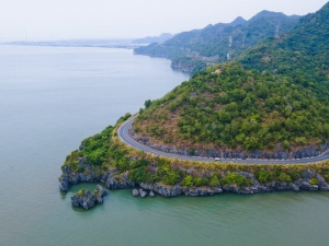 TCVN 14544:2025 tiêu chí và phương pháp xác định rừng vùng ven biển